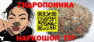 PSILOCYBIN Комсомольск-на-Амуре