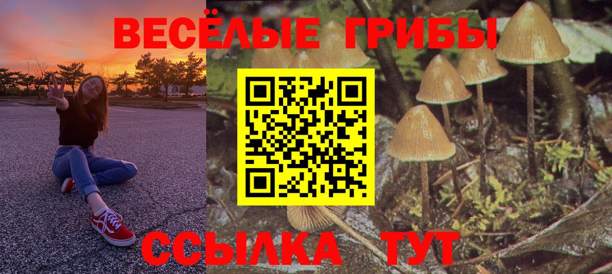 Галлюциногенные грибы Psilocybine cubensis  Вход с VPN  Фролово 